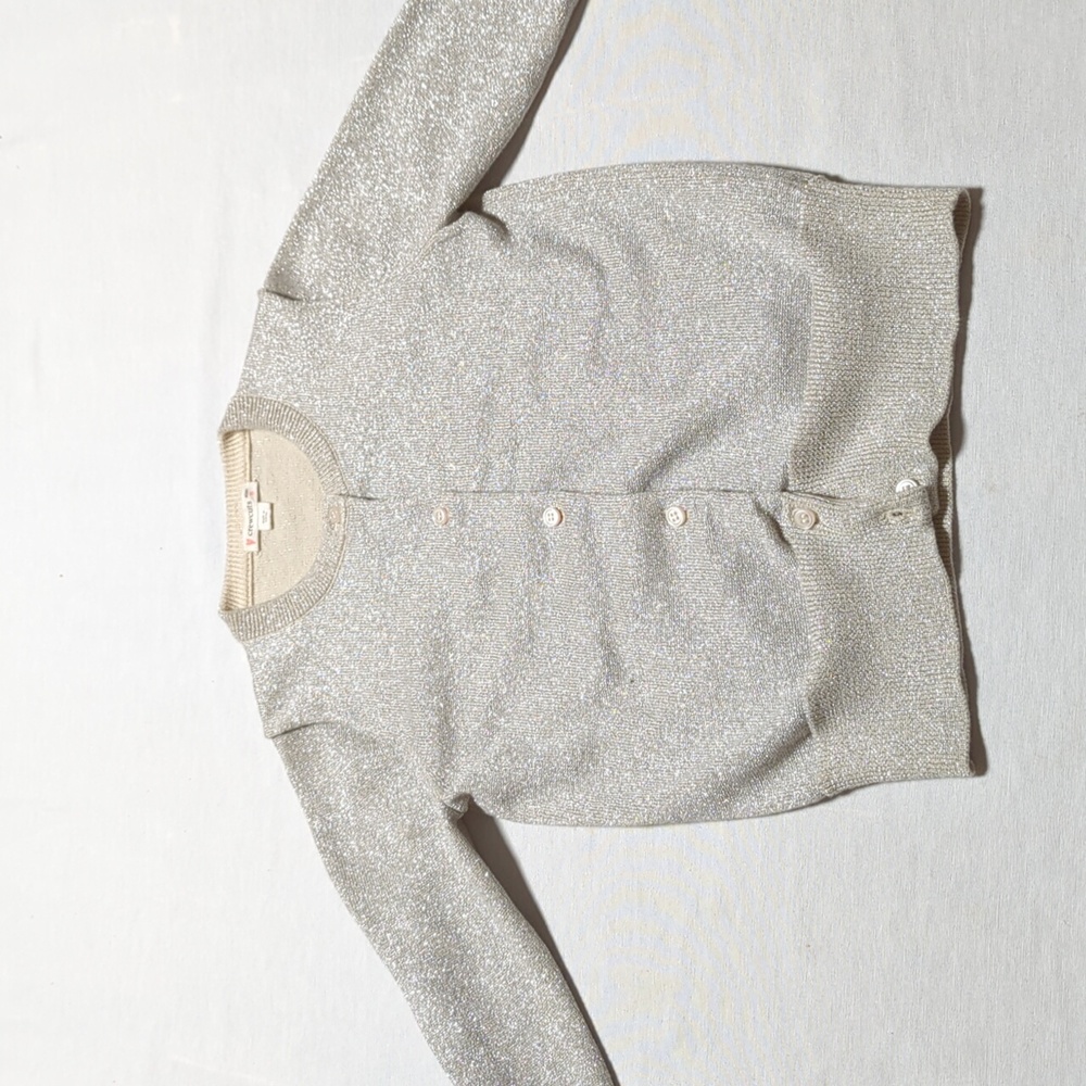 Shimmery Silvery Cardigan Sweater